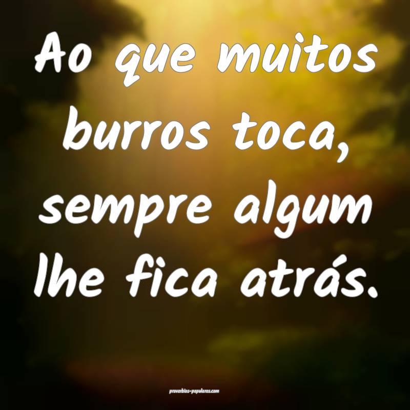 Ao que muitos burros toca, sempre algum lhe fica a ...