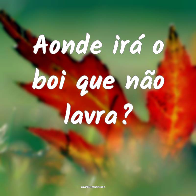 Aonde irá o boi que não lavra?
...