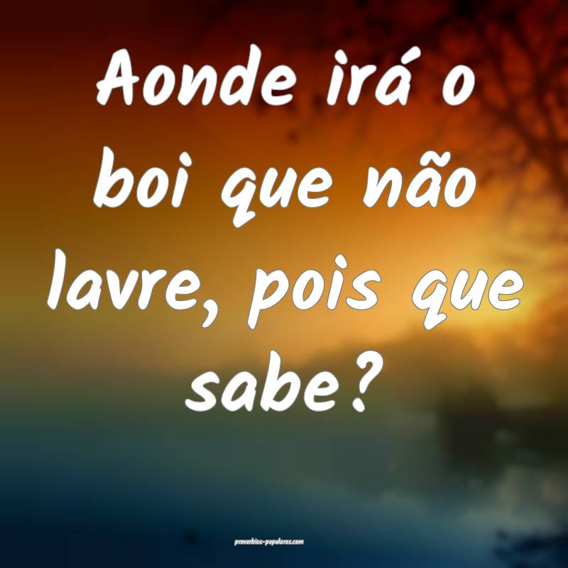 Aonde irá o boi que não lavre, pois que sabe?
 ...