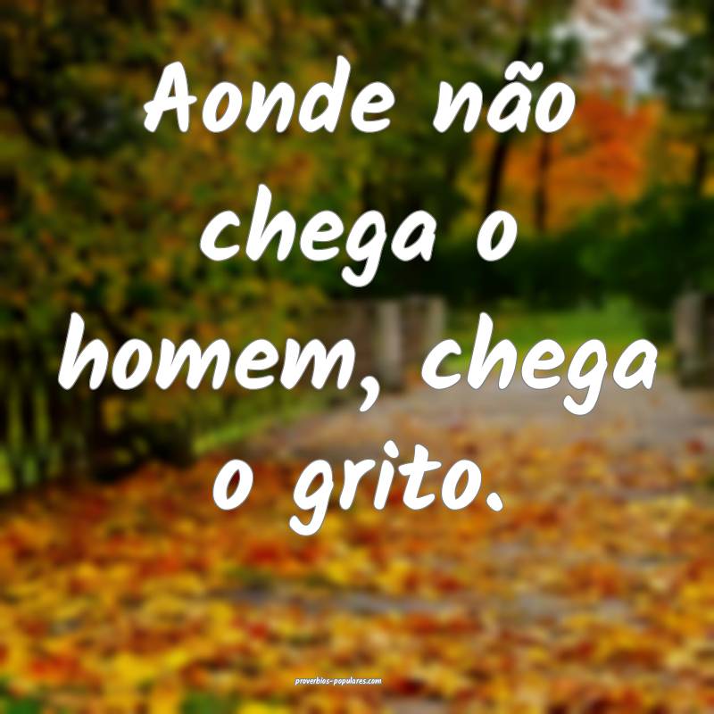 Aonde não chega o homem, chega o grito.
...