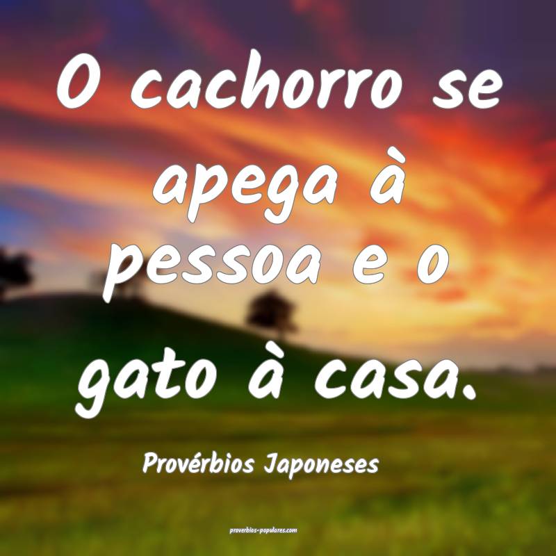 O cachorro se apega à pessoa e o gato à casa.
...
