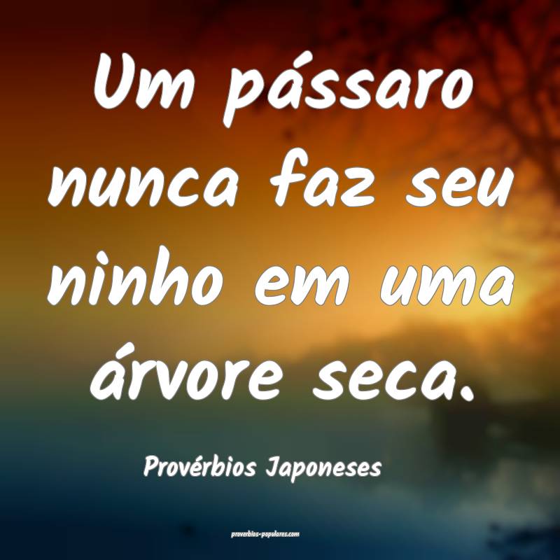 Um pássaro nunca faz seu ninho em uma árvore seca.
...