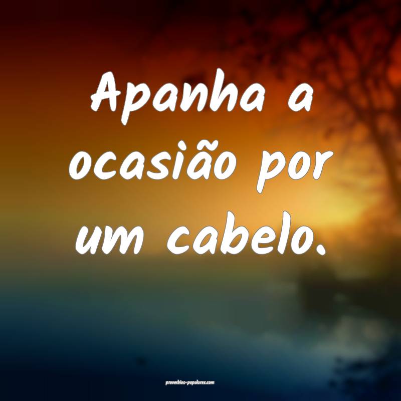 Apanha a ocasião por um cabelo.
 ...