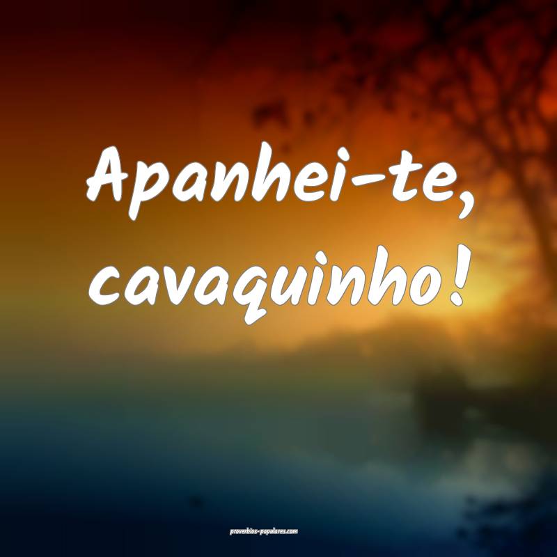Apanhei-te, cavaquinho!
 ...
