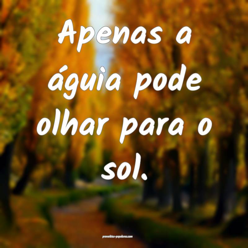 Apenas a águia pode olhar para o sol.
...