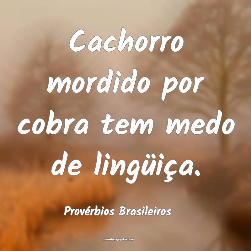 Cachorro mordido por cobra tem medo de lingüiça.
...