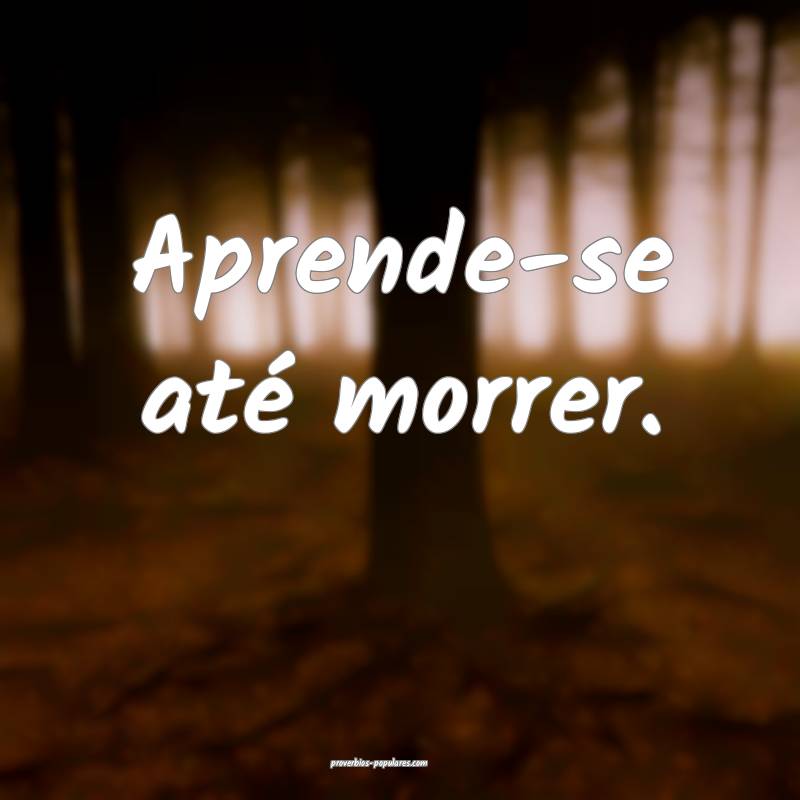 Aprende-se até morrer.
...