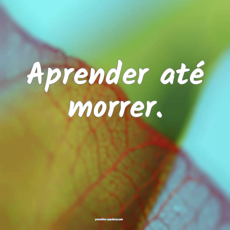 Aprender até morrer.
...