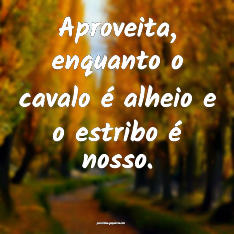 Aproveita, enquanto o cavalo é alheio e o estribo é nosso.
...