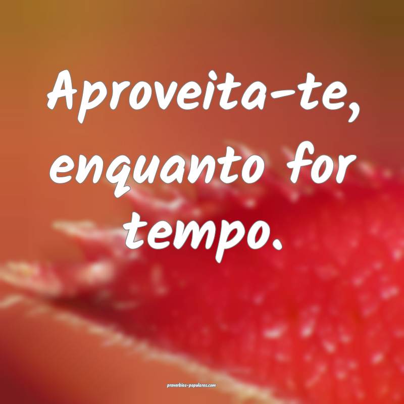 Aproveita-te, enquanto for tempo.
...