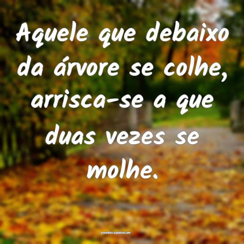 Aquele que debaixo da árvore se colhe, arrisca-se a que duas vezes se...