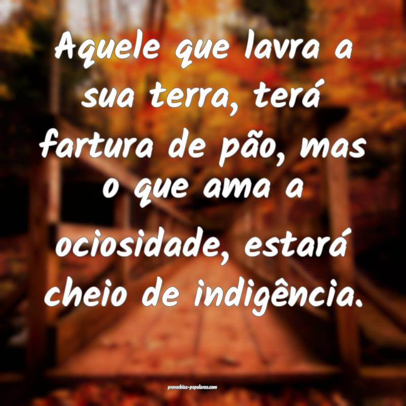 Aquele que lavra a sua terra, terá fartura de pão, mas o que ama a o...