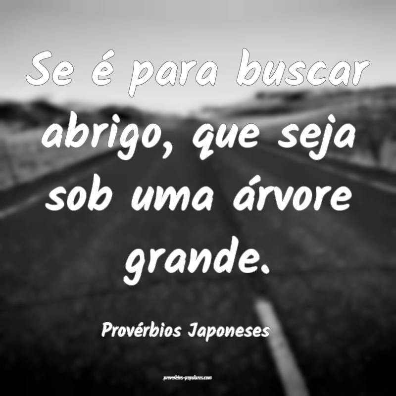 Se é para buscar abrigo, que seja sob uma árvore grande.
...