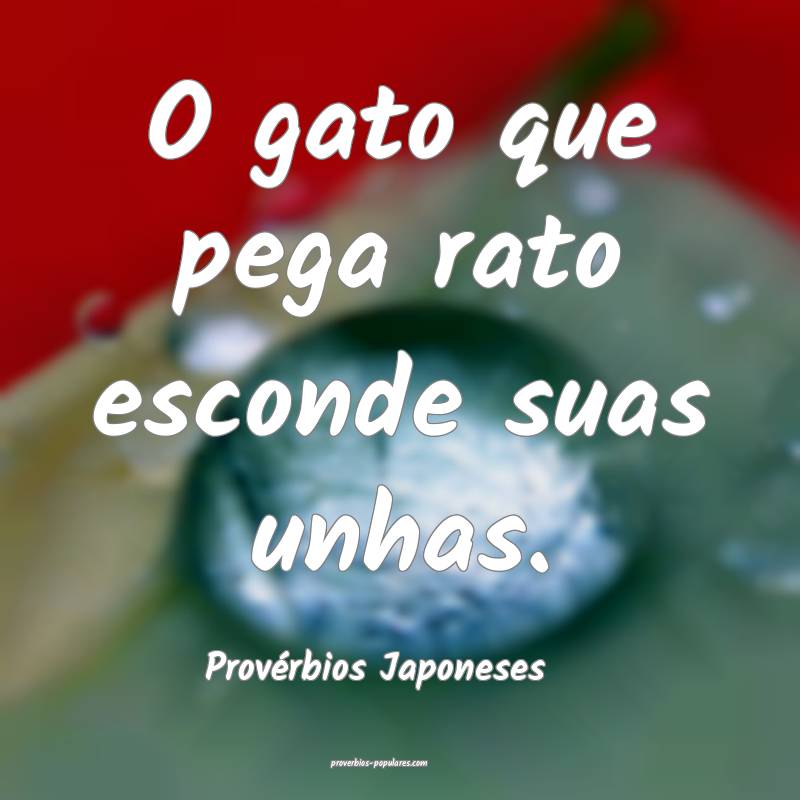 Provérbios Japoneses - O gato que pega rato escon ...