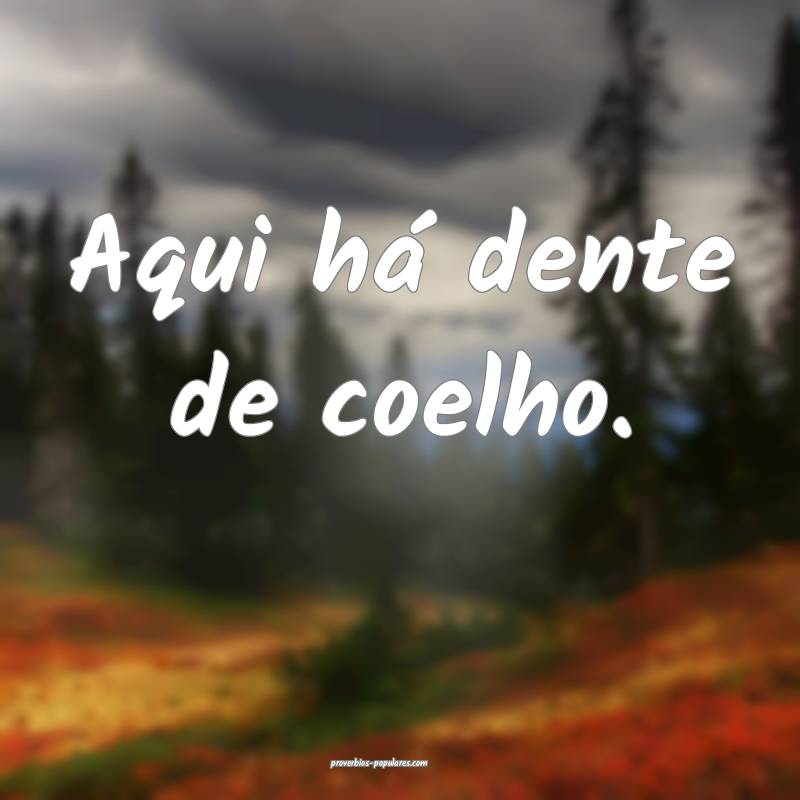 Aqui há dente de coelho.
...