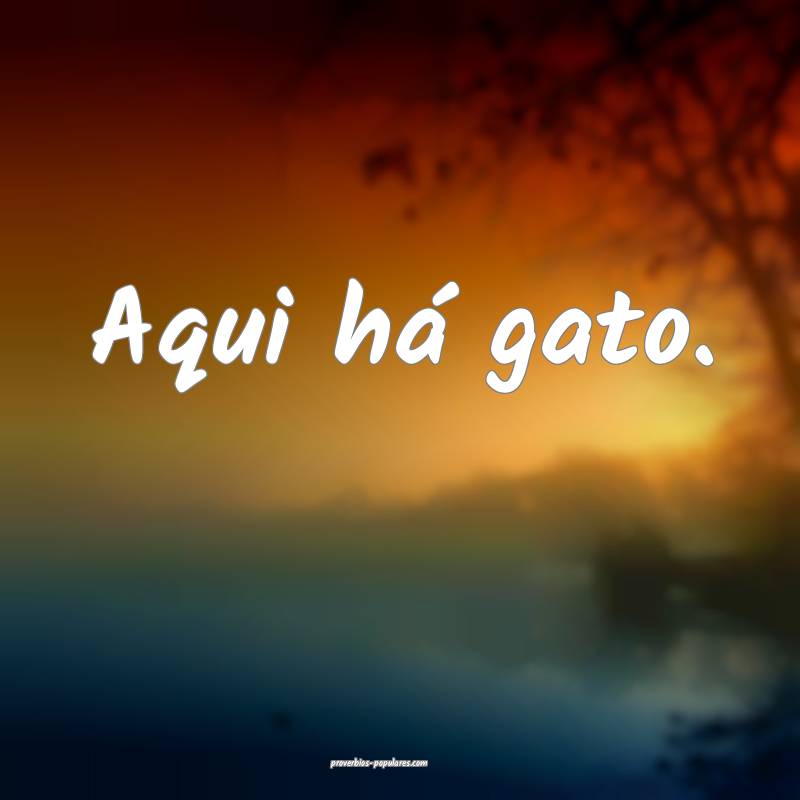 Aqui há gato.
...