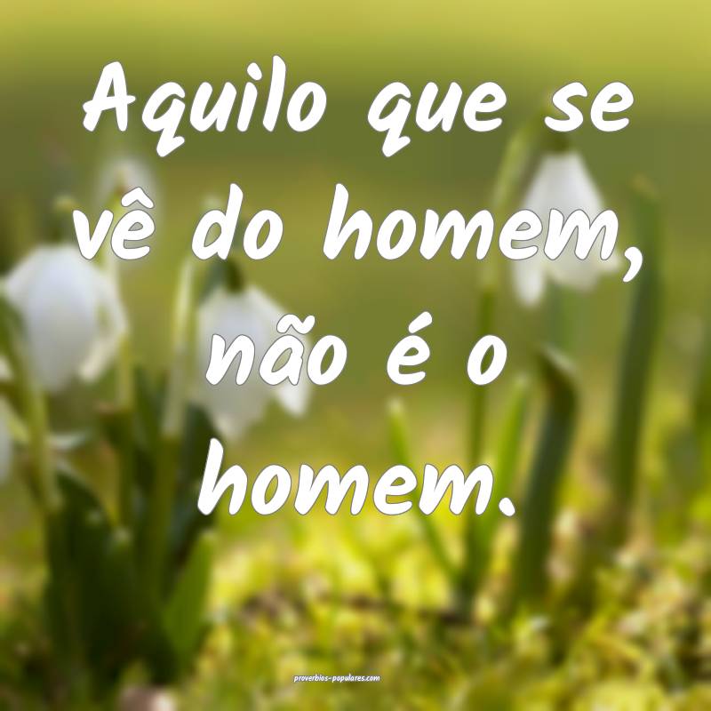 Aquilo que se vê do homem, não é o homem.
 ...