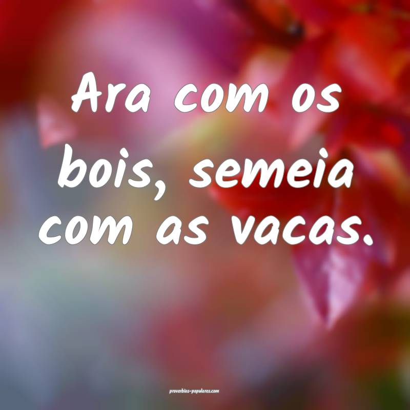 Ara com os bois, semeia com as vacas.
...
