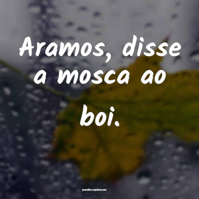 Aramos, disse a mosca ao boi.
 ...