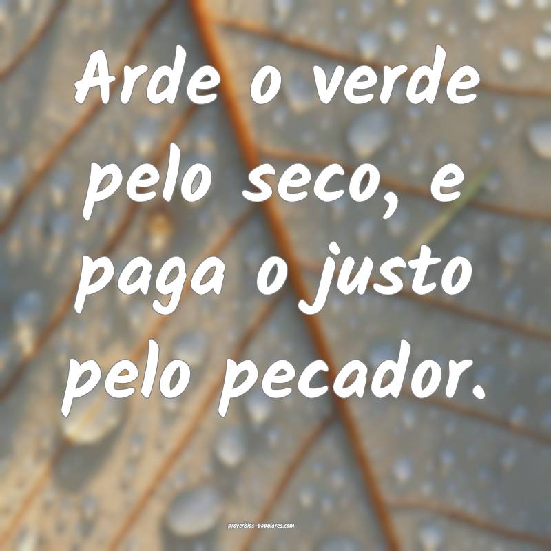 Arde o verde pelo seco, e paga o justo pelo pecador.
...