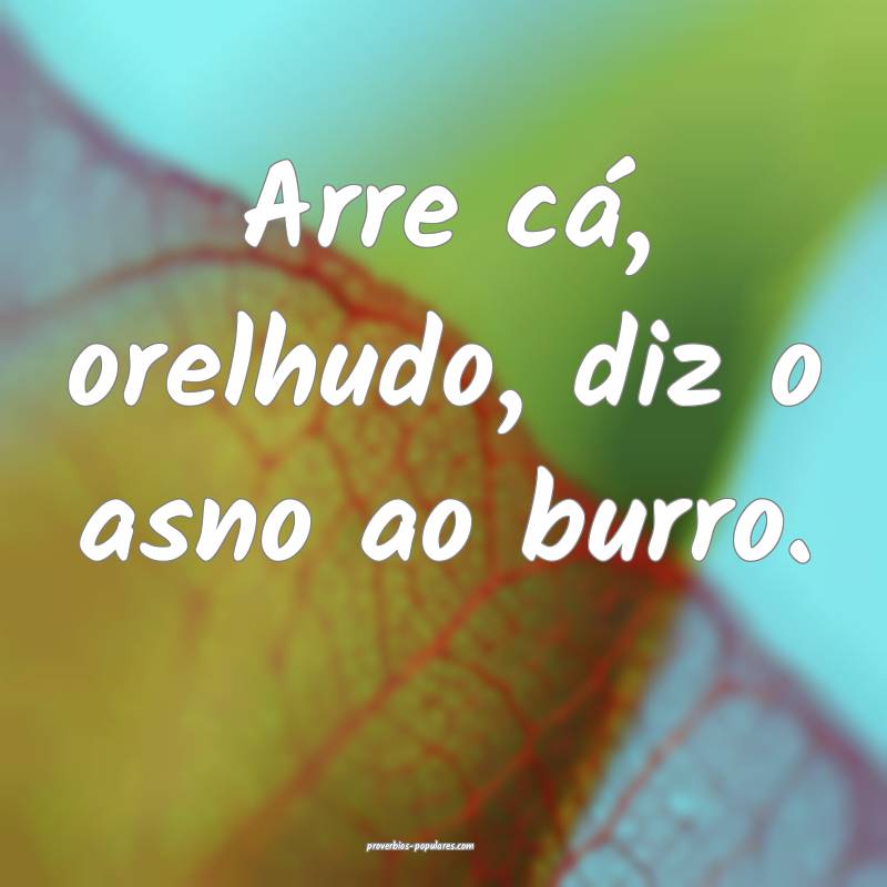 Arre cá, orelhudo, diz o asno ao burro.
...