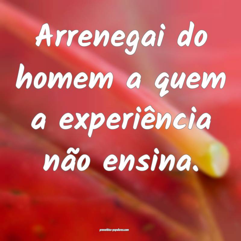 Arrenegai do homem a quem a experiência não ensina.
...