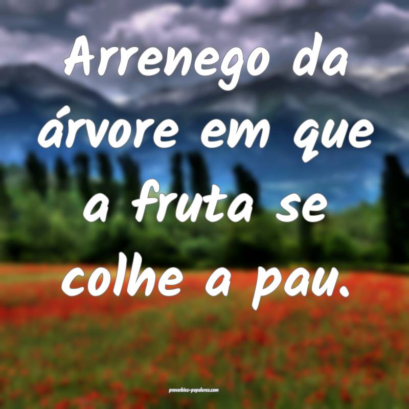 Arrenego da árvore em que a fruta se colhe a pau.
...