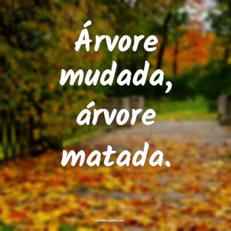 Árvore mudada, árvore matada.
...