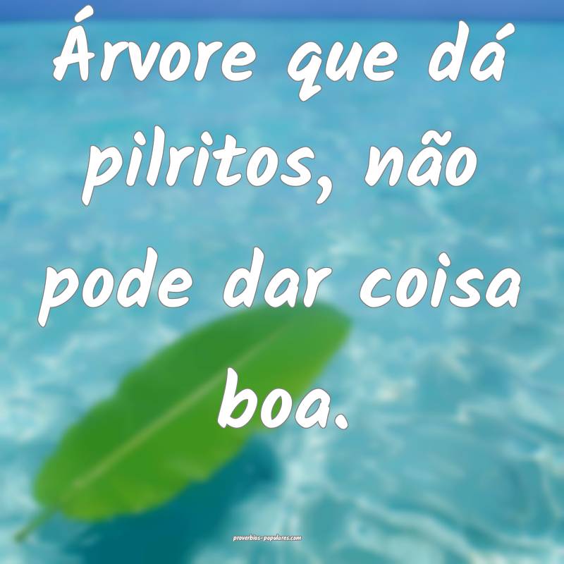 Árvore que dá pilritos, não pode dar coisa boa. ...