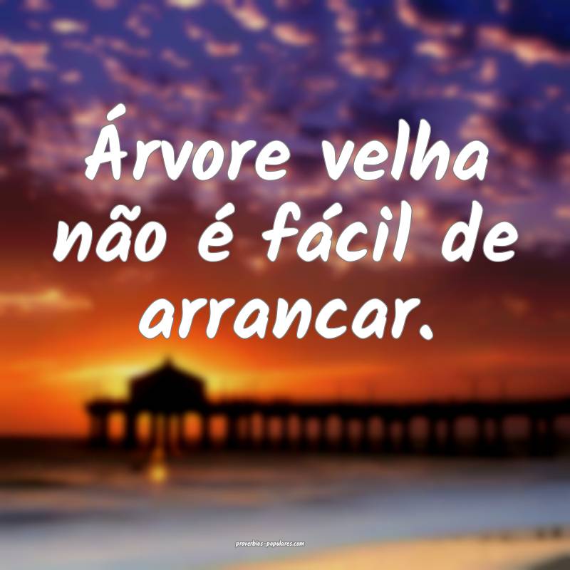 Árvore velha não é fácil de arrancar.
...