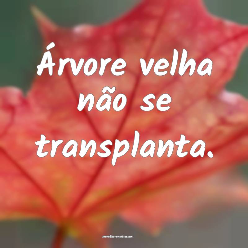 Árvore velha não se transplanta.
 ...