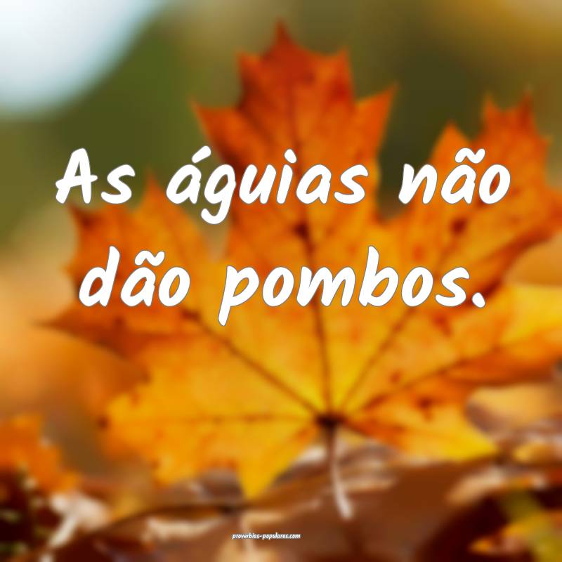 As águias não dão pombos.
 ...