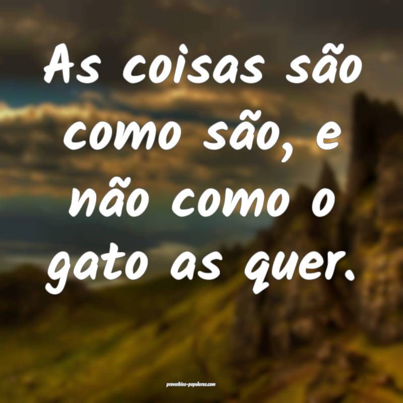 As coisas são como são, e não como o gato as qu ...