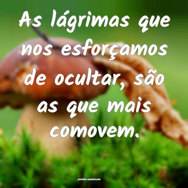 As lágrimas que nos esforçamos de ocultar, são as que mais comovem....