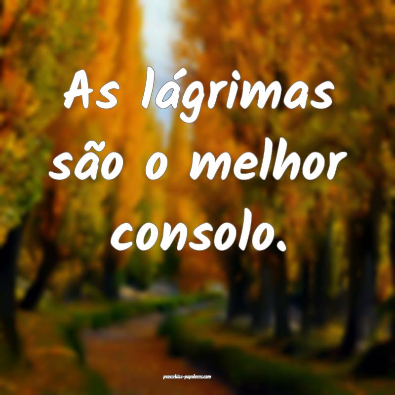 As lágrimas são o melhor consolo.
 ...