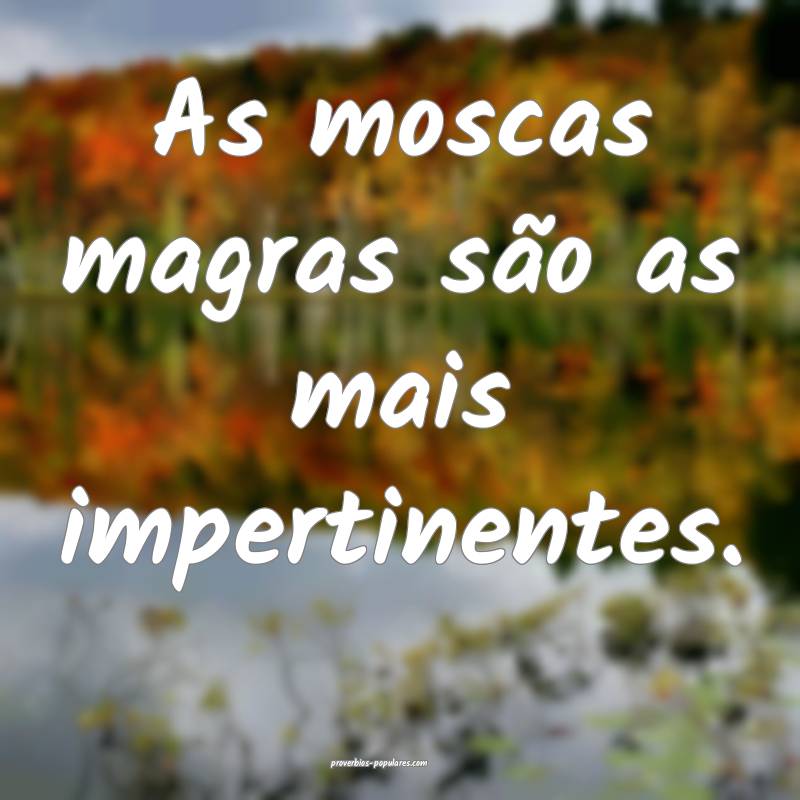 As moscas magras são as mais impertinentes.
 ...