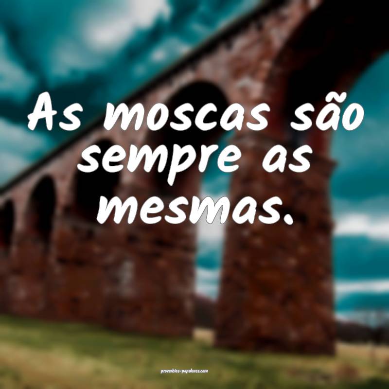 As moscas são sempre as mesmas.
...