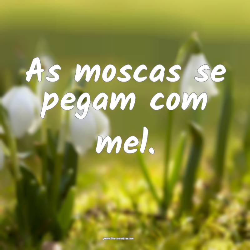 As moscas se pegam com mel.
...