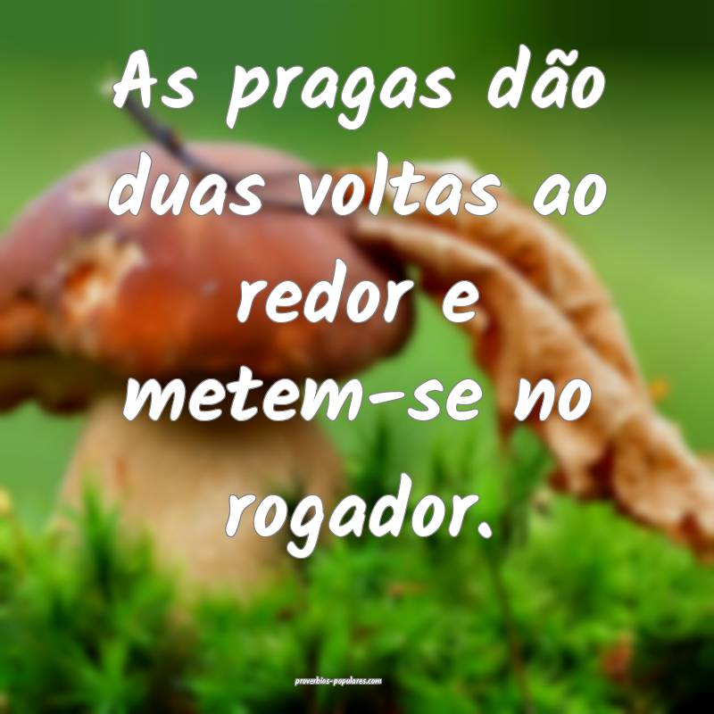 As pragas dão duas voltas ao redor e metem-se no rogador.
...
