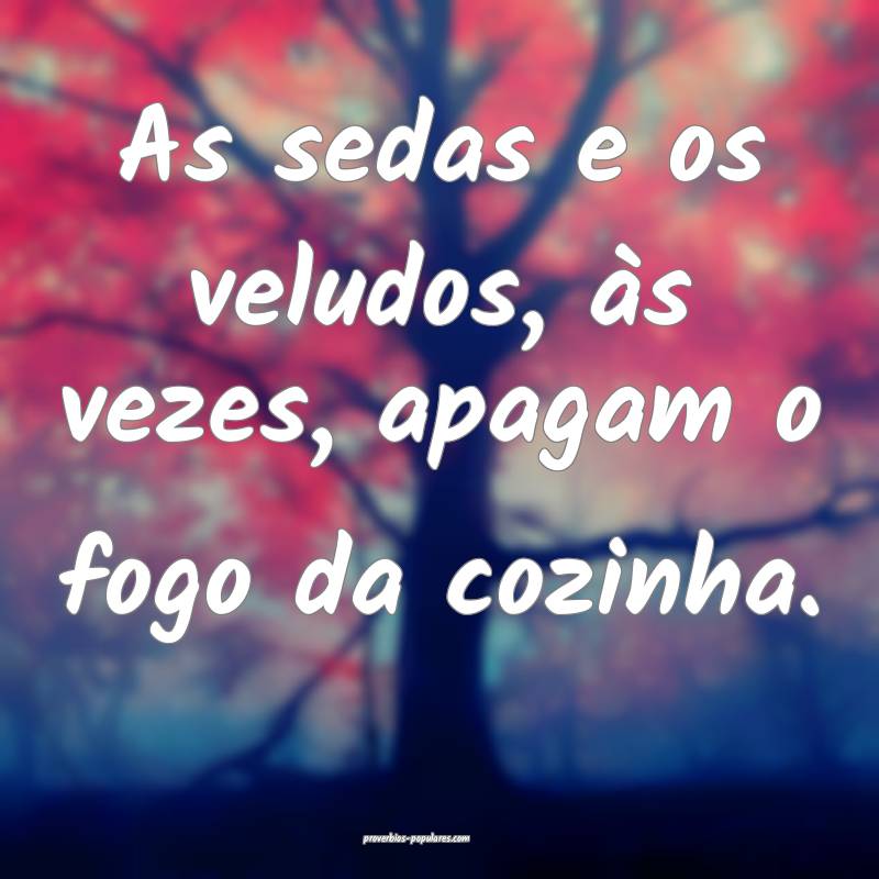 As sedas e os veludos, às vezes, apagam o fogo da cozinha.
...