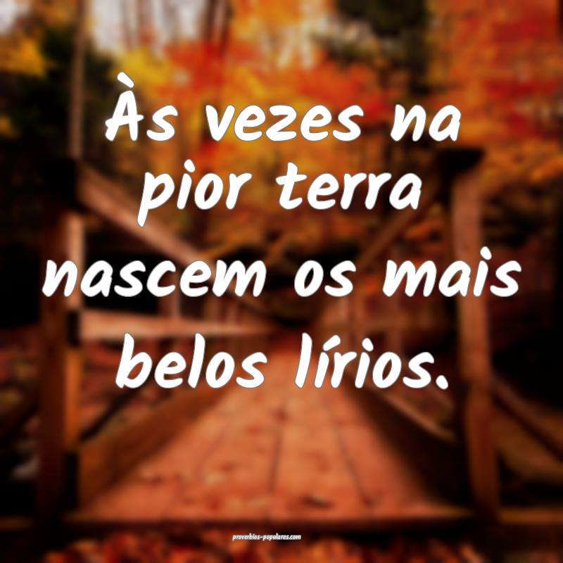 Às vezes na pior terra nascem os mais belos lírios.
...