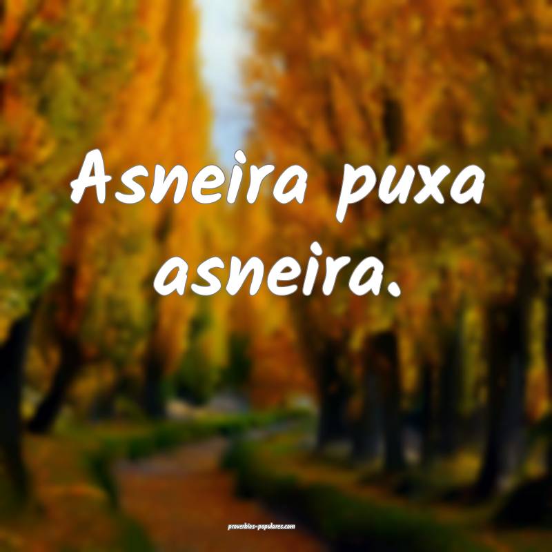Asneira puxa asneira.
...