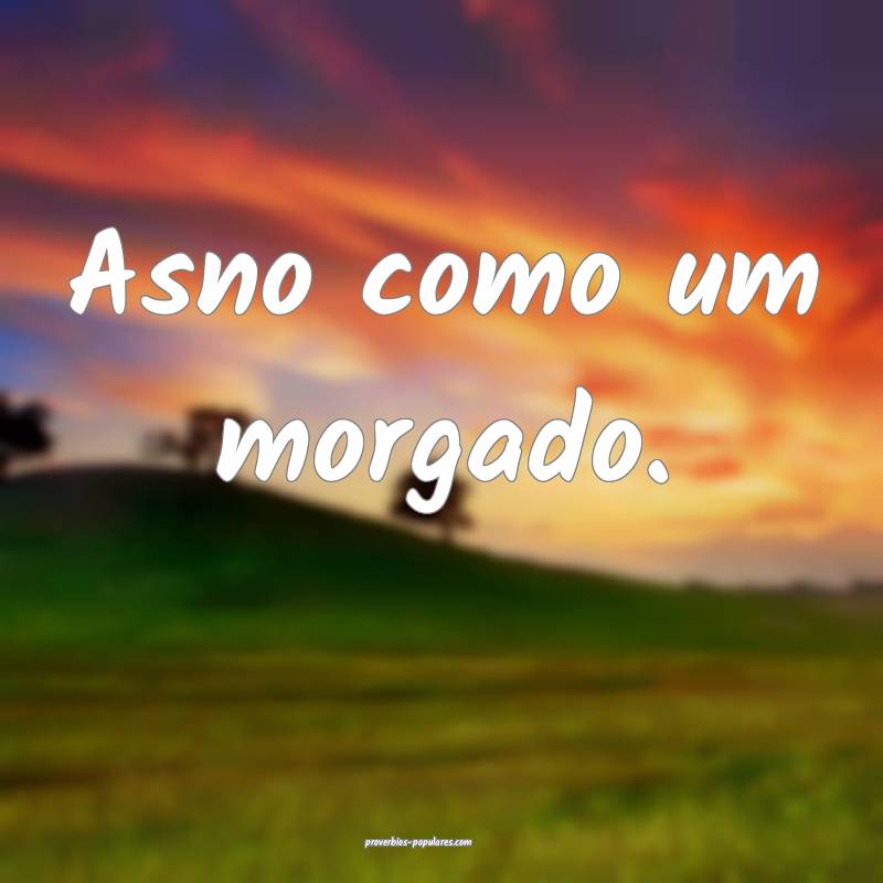 Asno como um morgado.
...