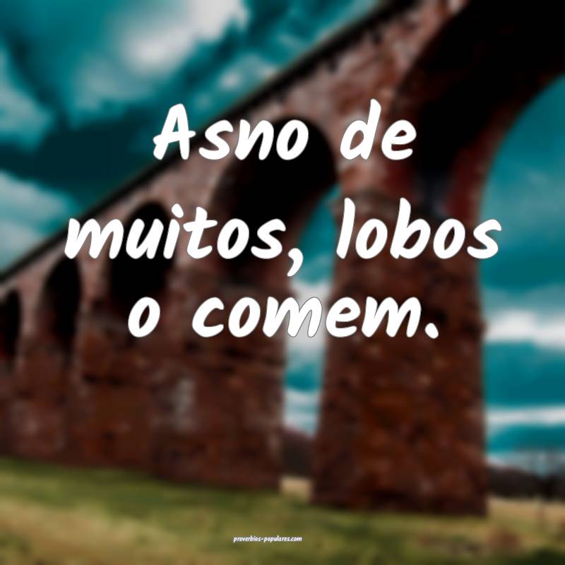 Asno de muitos, lobos o comem.
...