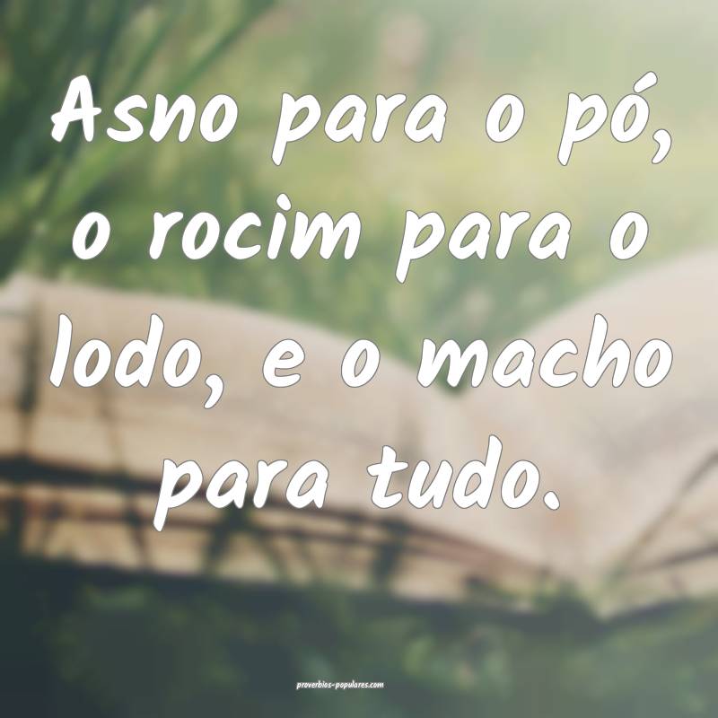Asno para o pó, o rocim para o lodo, e o macho para tudo.
...