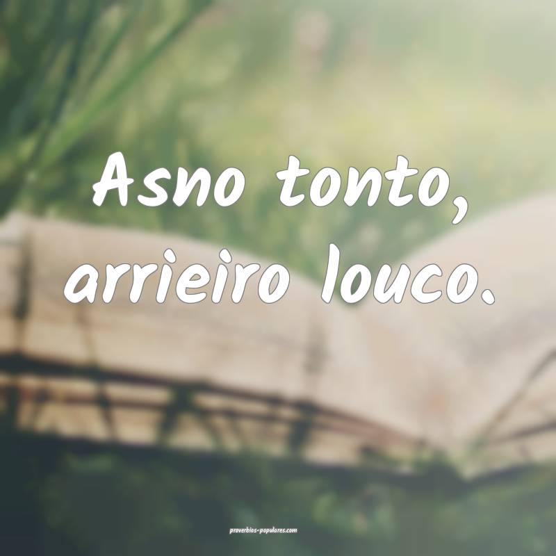 Asno tonto, arrieiro louco.
...