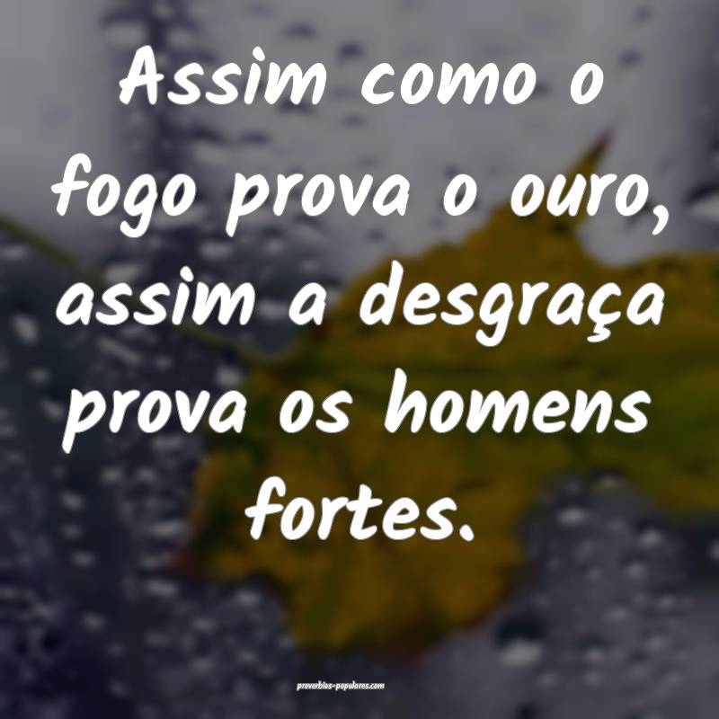 Assim como o fogo prova o ouro, assim a desgraça prova os homens fort...