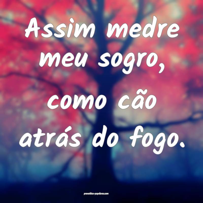 Assim medre meu sogro, como cão atrás do fogo.
...