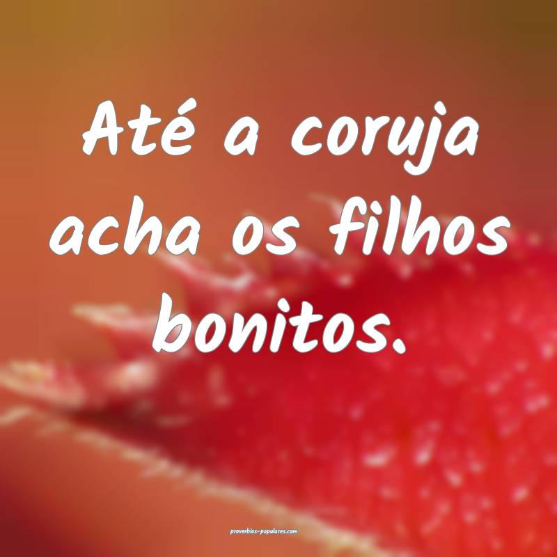 Até a coruja acha os filhos bonitos.
...