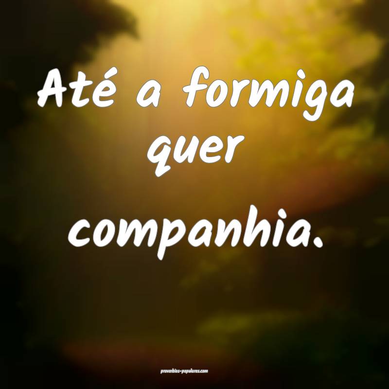 Até a formiga quer companhia.
...